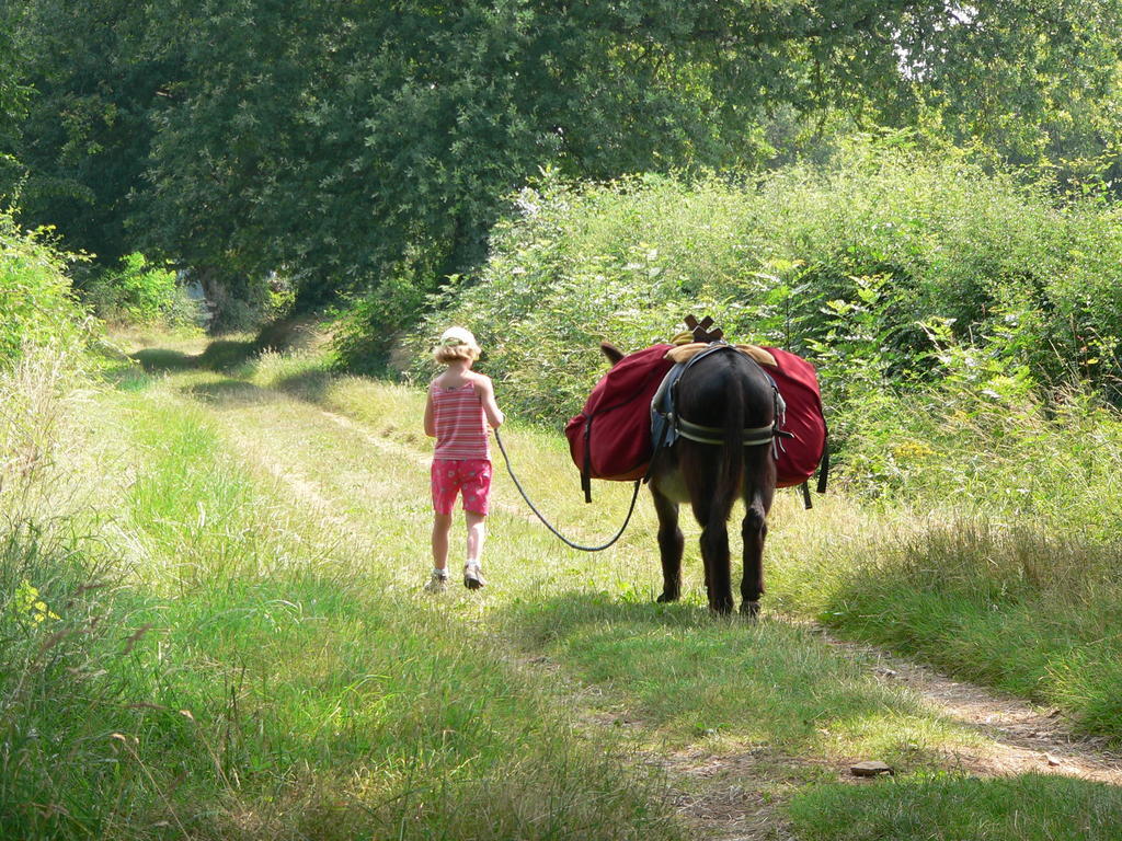 Iguerande Fenetre Sur Loire Bed & Breakfast エクステリア 写真