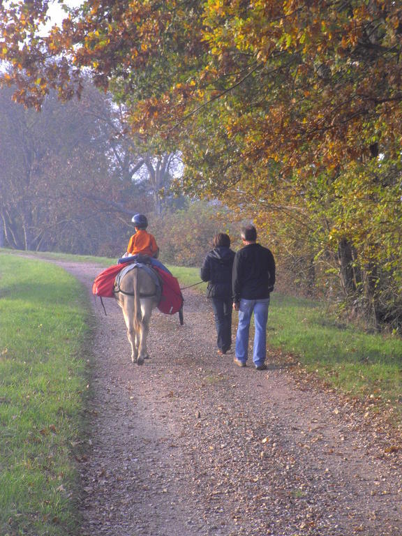 Iguerande Fenetre Sur Loire Bed & Breakfast エクステリア 写真